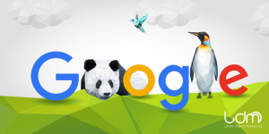 código SEO
